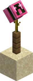 All-in Aloe
