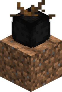 Coalroot