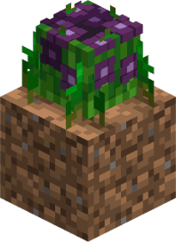 Duskbloom
