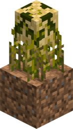 Dustgrain