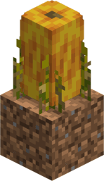 Gloomgourd