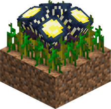 Noctilume